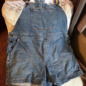 Lane Bryant Light Blue Denim Overalls